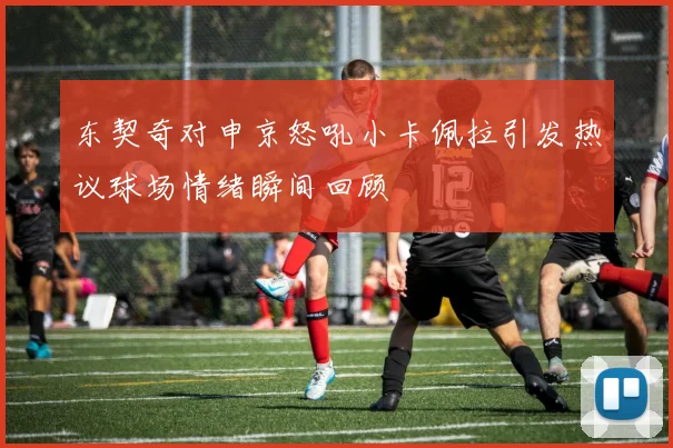 东契奇对申京怒吼小卡佩拉引发热议球场情绪瞬间回顾